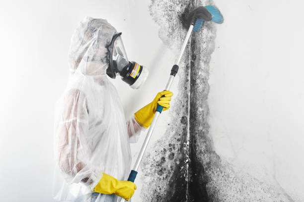 Best Residential Mold Inspection & Testing  in Browns Point, WA