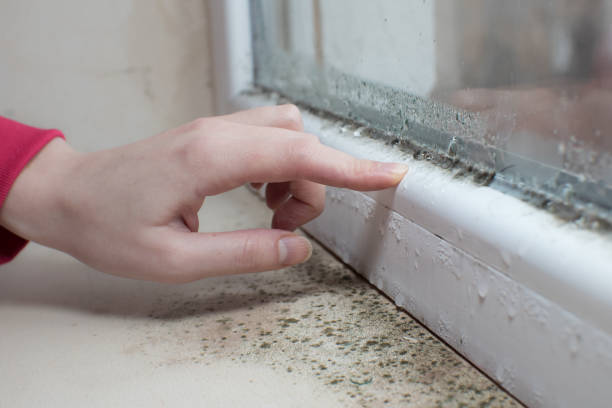 Best Commercial Mold Inspection  in Browns Point, WA