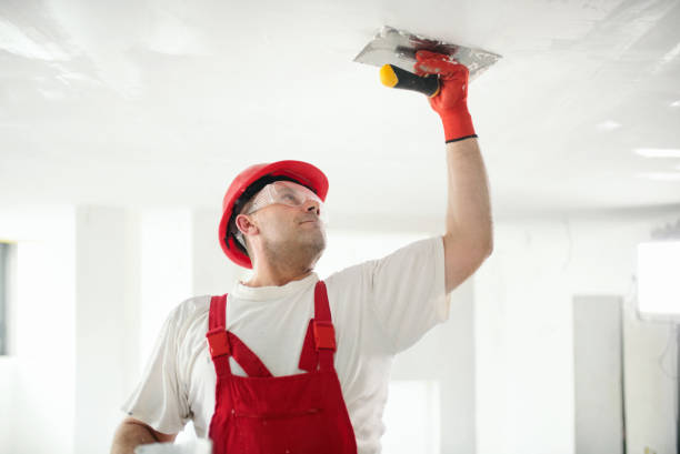 Forensic Mold Investigation in Browns Point, WA