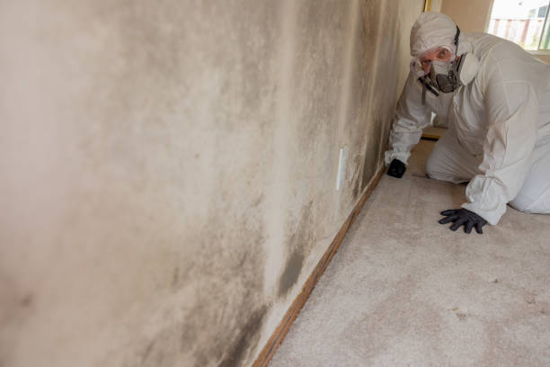 Best Mold Remediation for Vacation Homes  in Browns Point, WA